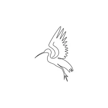 "One Line Ibis Drawing: A Minimalist Approach to Capturing Its Distinctive Shape"