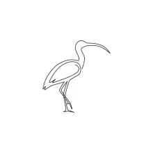 "One Line Ibis Drawing: A Minimalist Illustration of Elegance and Precision"