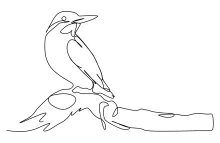 One-Line Kingfisher Drawing: Sketch Small Birds with Bold Features in Simple Style