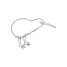 Easy Kiwi Bird Drawing in One Line: Practice Simple Animal Shapes for All Ages