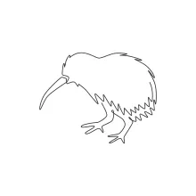Cute Kiwi Bird in One Line Drawing: Great for Fun, Easy Art Practice