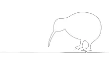 "Minimalist One-Line Kiwi Drawing: Capturing the Uniqueness of a Flightless Bird"