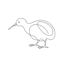 "One Line Kiwi Bird Art: A Minimalist Approach to Unique Bird Features"