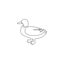 "Minimalist One Line Mallard Drawing: Capturing a Familiar and Friendly Waterbird"