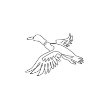 "One Line Mallard Drawing: A Minimalist Approach to Capturing Motion and Elegance"