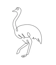 One Line Emu and Ostrich Drawing: Large Bird Practice with Simple Shapes