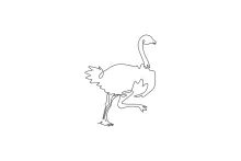 "One Line Ostrich Drawing: A Minimalist Representation of Speed and Strength"