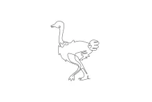 "Minimalist One Line Ostrich Drawing: A Simple Approach to the Largest Bird"