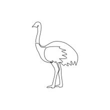 "One Line Ostrich Drawing: A Minimalist Study of the World's Largest Bird"