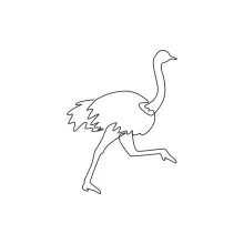 One Line Giant Ostrich Drawing: Practice Fast Flightless Bird Shapes with Ease