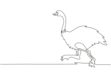 One-Line African Ostrich Drawing: Explore Big Bird Shapes in Simple Drawing Practice