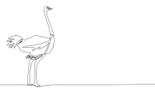 "One-Line Ostrich Drawing: A Minimalist Study of Strength and Speed"