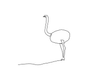 One Line Ostrich Drawing: Practice Animal Form and Movement with Easy Line Art