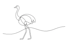 "One Line Ostrich Drawing: A Simple Way to Illustrate the World's Largest Bird"