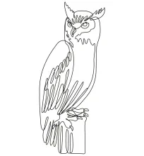 "One Line Tiger Owl Drawing: A Minimalist Illustration of a Rare and Striking Bird"