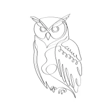 One-Line Owl Drawing for Beginners: Master Basic Shapes with Forest Bird Sketch