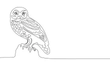 One-Line Night Owl Drawing: Learn to Sketch Forest Birds with Big Eyes