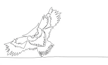 "Minimalist One-Line Owl Drawing: Capturing Nocturnal Elegance in Motion"