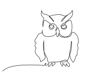 One Line Owl Drawing for Beginners: Learn Bird Features with Clear and Simple Shapes