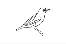"Minimalist One-Line Perching Bird Drawing: Capturing Balance and Observation in Simple Art"