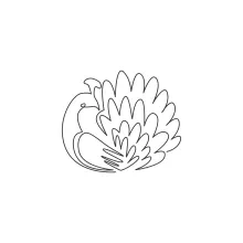 "One Line Peacock Drawing: A Minimalist Approach to Elegance and Display"