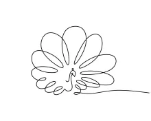 One-Line Peacock Drawing: Discover Bird Form and Elegance with Simple Shapes