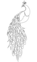 "One-Line Peacock Drawing: A Minimalist Approach to Capturing Poise and Majesty"