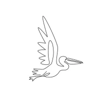 "One Line Pelican Drawing: A Minimalist Approach to a Majestic Waterbird"