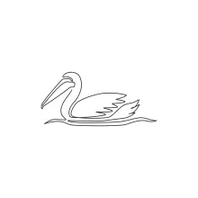"Minimalist One Line Pelican Drawing: A Simple Study of a Unique Waterbird"