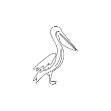 "One Line Pelican Drawing: A Minimalist Approach to a Distinctive Waterbird"