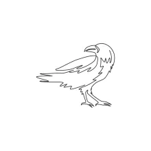 "One Line Raven Drawing: A Minimalist Study of Mystery and Intelligence"