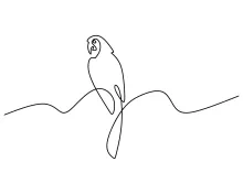 One-Line Scarlet Macaw Drawing: Explore Tropical Bird Forms in Simple Line Art