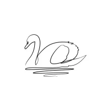One-Line Swan Drawing: Practice Curved Neck and Calm Bird Shapes in Simple Art