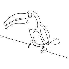 One Line Toucan Head Drawing: Understand Big Beaks with Quick, Clear Sketches