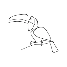 One Line Drawing of Toucan Head: Learn Bold Bird Features in a Simple Line