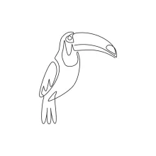 One Line Toucan Drawing: Draw Exotic Beaks with Ease and Fun