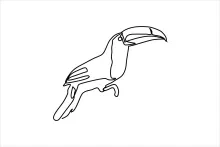 "One-Line Toucan Drawing: A Minimalist Approach to Capturing Its Iconic Beak"