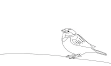 "One-Line Titmouse Drawing: A Minimalist Study of a Small, Lively Songbird"