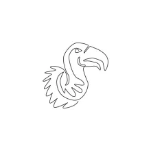 One Line Vulture Drawing: Learn the Shape of a Large Scavenger Bird Easily