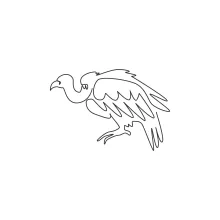 One Line Griffon Vulture Drawing: Explore Mysterious Bird Shapes in Simple Form