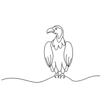 "Minimalist Vulture Drawing: A One Line Approach to Unique Bird Forms"