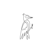 One Line Beautiful Woodpecker Drawing: Practice Small Bird Features in Simple Steps