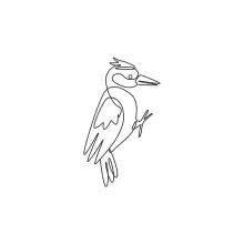 One Line Cute Woodpecker Drawing: Practice Small Bird Shapes with Simple Detail