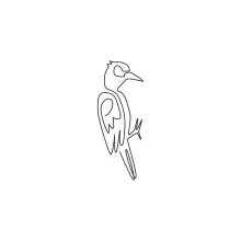 One Line Woodpecker Sketch: Learn Basic Bird Shapes with an Easy Drumming Bird