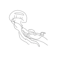 Marine jellyfish simple continuous line art.
