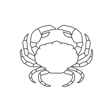 Simple Crab Drawing in One Line to Help Kids Practice Creative Focus and Geometry