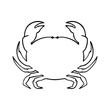One-Line Crab Drawing Guide: A Simple Way to Learn Symmetry and Shape