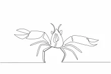 Crayfish One-Line Drawing for Studying Long Shapes and Balanced Animal Forms