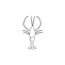 One-Line Crayfish Drawing Tutorial: Build Artistic Confidence with Simple Forms