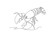 One-Line Lobster Crayfish Sketch: Train Your Hand with Simple Marine Drawing